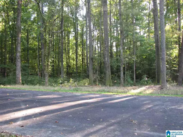 Indian Springs Village, AL 35242,Lot 4 BENT TREE LN #4