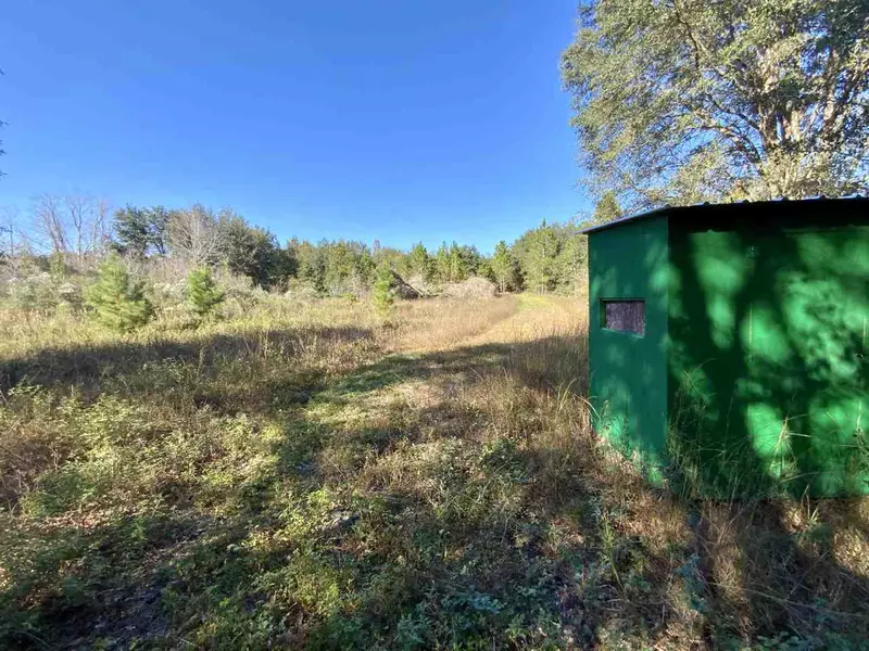 Vacant NE Bittersweet Trail, Madison County, FL 32340