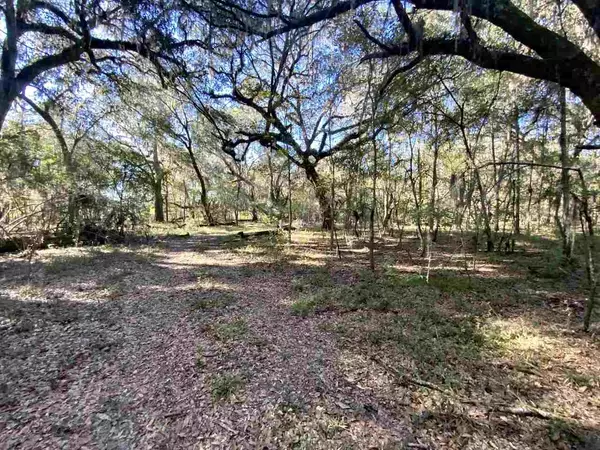 Madison County, FL 32340,Vacant NE Bittersweet Trail