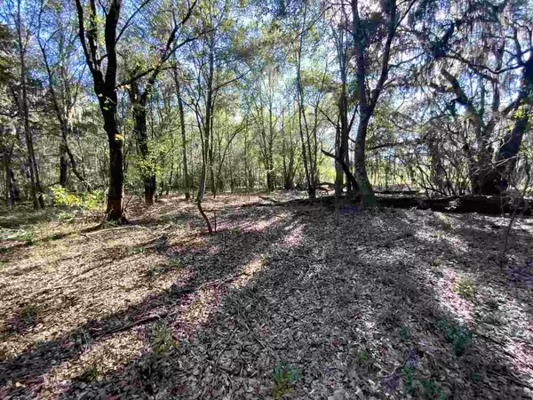 Madison County, FL 32340,Vacant NE Bittersweet Trail