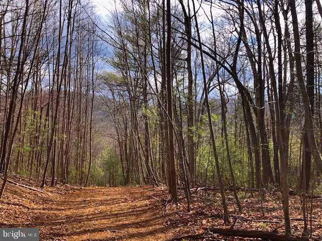 Sperryville, VA 22740,LOT 2 WELSH HOLLOW LN