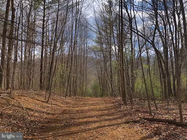 Sperryville, VA 22740,LOT 2 WELSH HOLLOW LN