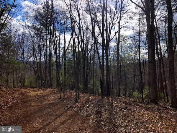 Sperryville, VA 22740,LOT 2 WELSH HOLLOW LN