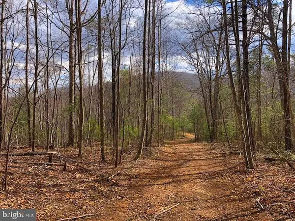 Sperryville, VA 22740,LOT 2 WELSH HOLLOW LN