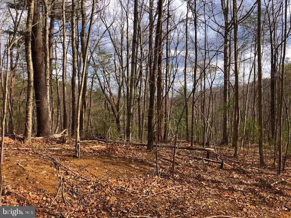 Sperryville, VA 22740,LOT 2 WELSH HOLLOW LN