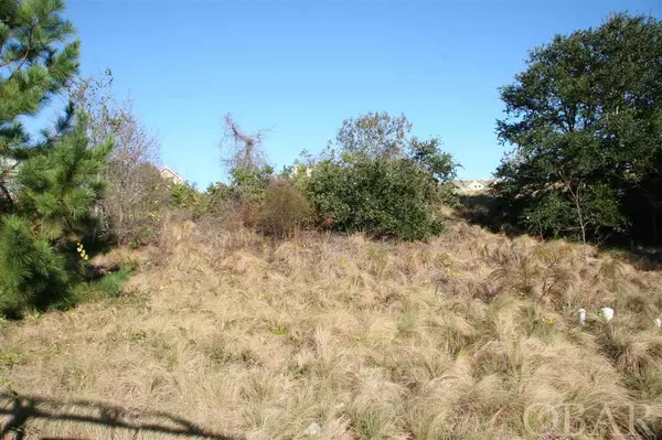 Corolla, NC 27927-0005,675 Wild Cherry Court #Lot 231