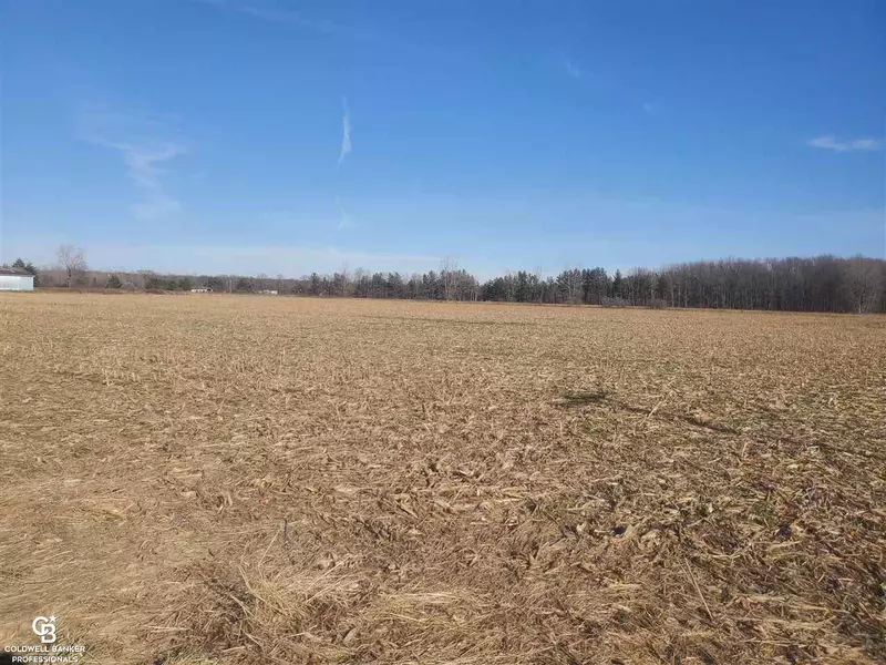 Fargo Rd VL - 55.18 Acres, Avoca, MI 48006