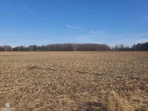 Avoca, MI 48006,Fargo Rd VL - 55.18 Acres