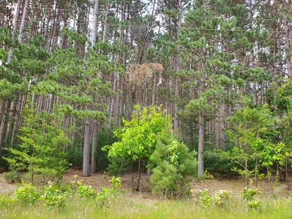 Wisconsin Dells, WI 53965-9999,Lot 88 S Gale Ct