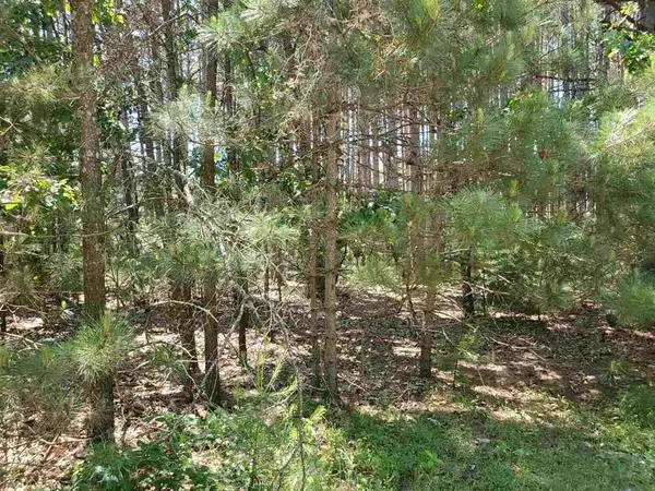 Wisconsin Dells, WI 53965-9999,Lot 87 S Gale Ct