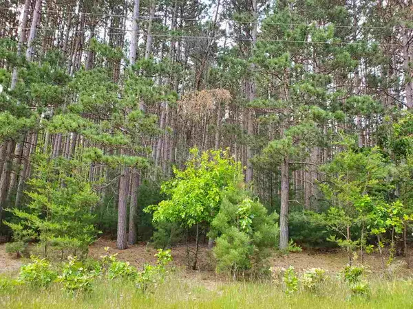 Lot 86 S Gale Ct, Wisconsin Dells, WI 53965