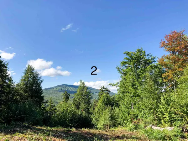 Ludlow, VT 05149,02 Turtle Hill RD #2