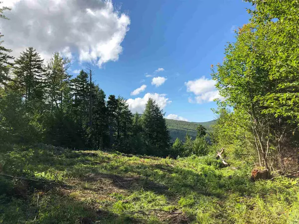 Ludlow, VT 05149,02 Turtle Hill RD #2