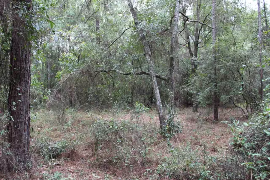 Vacant NE Timber River Loop, Lee, FL 32059