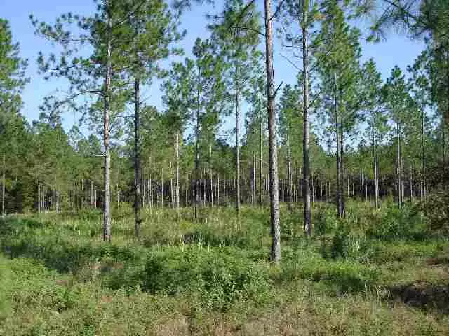 Lee, FL 32059,Lot 73 NE Jasmine Terrace #8