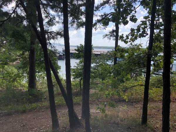 LOT 147 TANNENBAUM, Drasco, AR 72530