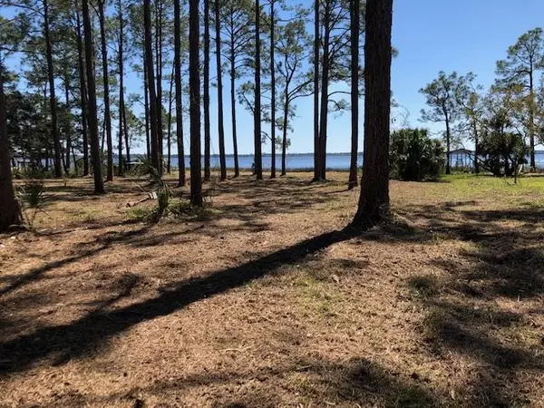 Panacea, FL 32346,XX River Cove (Lot 1&2) Road #-