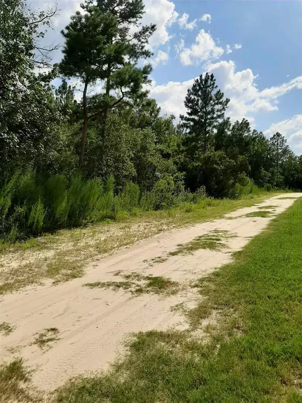 Vacant lot Lloyd Creek Road,  Jefferson Elementary,  FL 32344