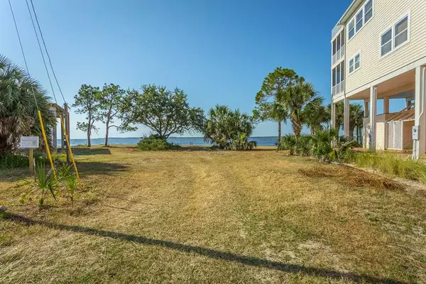 Panacea, FL 32358,66 BLUE HERON Way #3