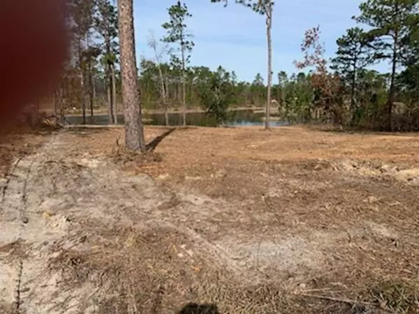 Other Georgia, GA 39845,Lot 56 Summer Circle