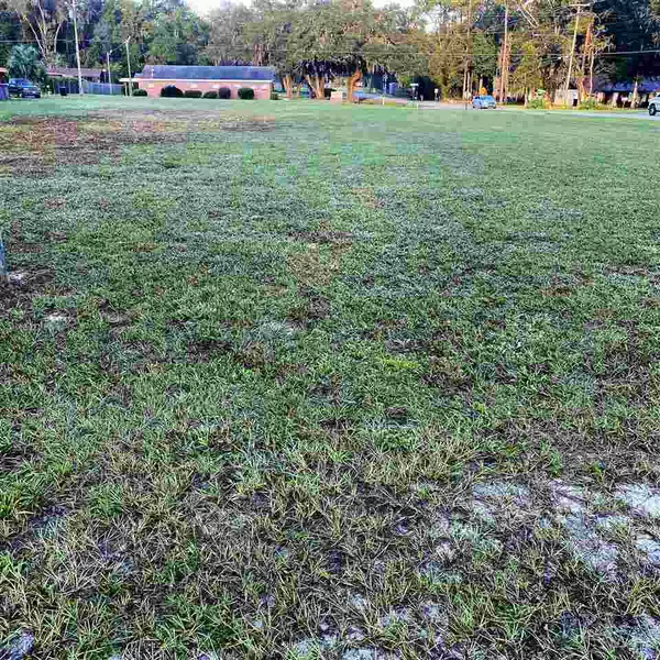 Perry, FL 32347,000 W Ash Street