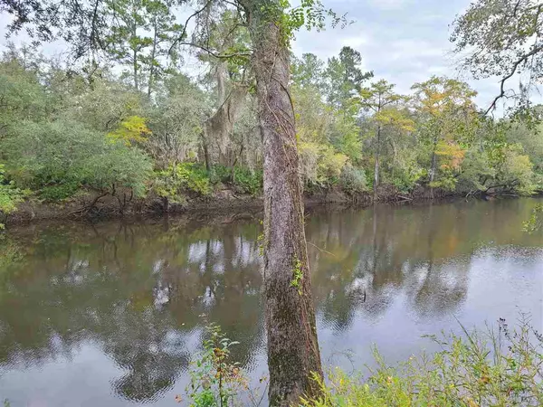 Pinetta (madison County), FL 32350,195 NE East Peppermint Trail