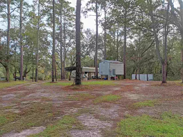 Pinetta (madison County), FL 32350,195 NE East Peppermint Trail