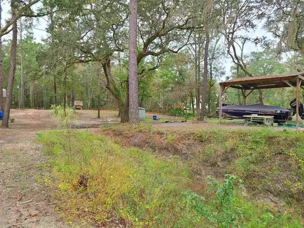 Pinetta (madison County), FL 32350,195 NE East Peppermint Trail