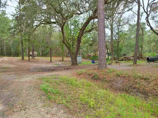 Pinetta (madison County), FL 32350,195 NE East Peppermint Trail