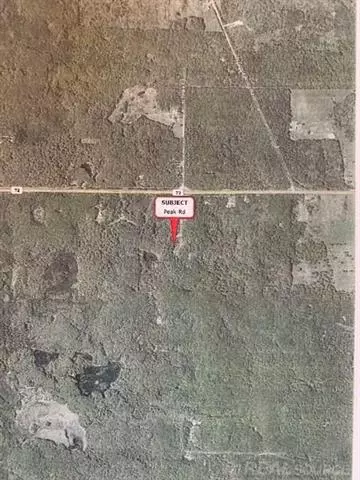 Alcona Twp, MI 48075,VACANT PEAK RD.