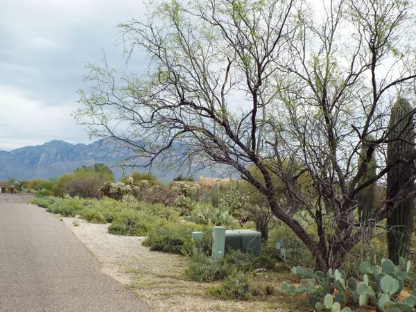 Oro Valley, AZ 85742,2621 W Desert Splendor Court