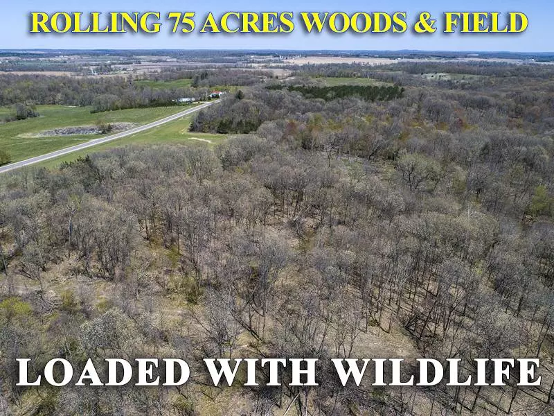 Oxford, WI 53952,35 Ac County Road P