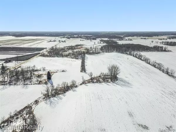 Fowlerville Vlg, MI 48836,0000 STOW RD