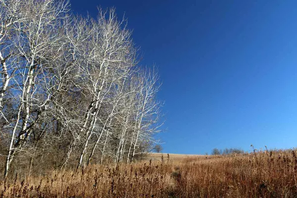 Blanchardville, WI 53516,247 Acres Hay Hollow Rd