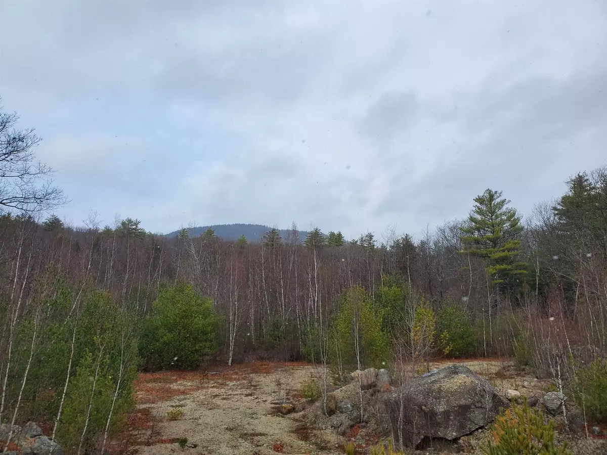 Antrim, NH 03449,000 Willard Pond RD