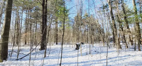 Clyde, MI 48049 4312,5641 LOGGING Lane