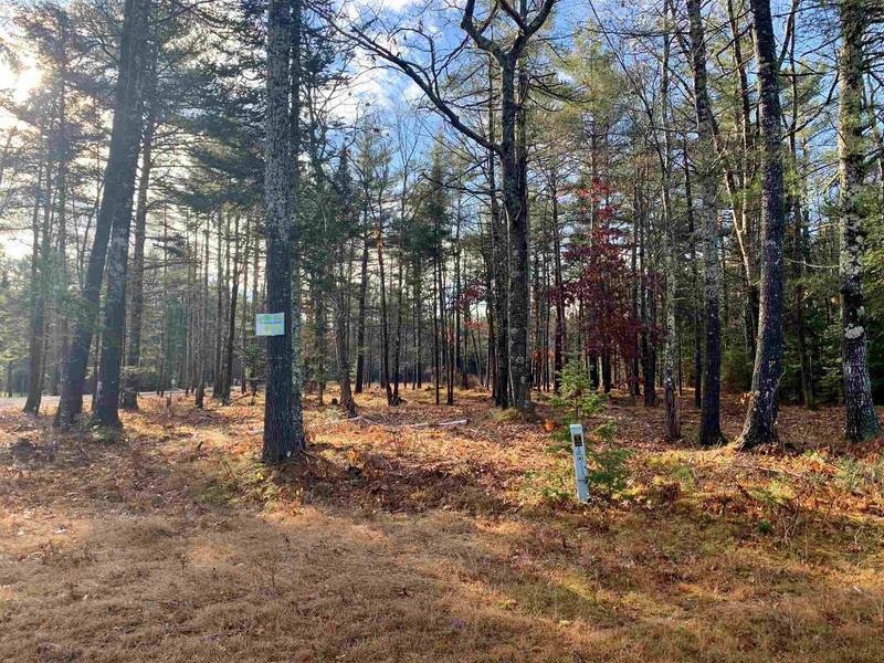 #37 Mountain Shadows RD #Lot 37, Tuftonboro, NH 03816