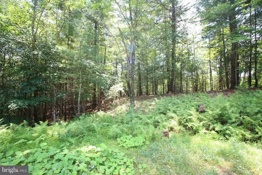 LOT 8 HIGH POINT DRIVE, Wardensville, WV 26851