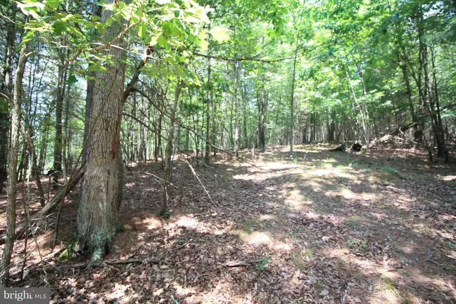 LOT 16 SLATE ROCK PASS ROAD, Wardensville, WV 26851