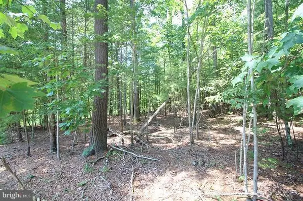 LOT 7 SLATE ROCK PASS ROAD, Wardensville, WV 26851