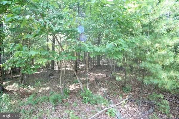 Wardensville, WV 26851,LOT 7 SLATE ROCK PASS ROAD