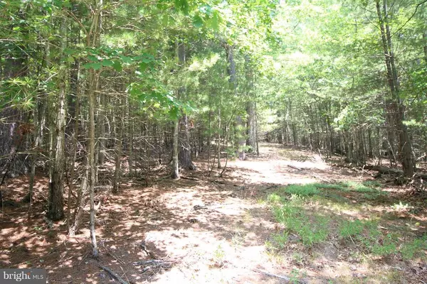 Wardensville, WV 26851,LOT 16 SLATE ROCK PASS ROAD