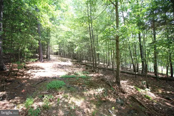 Wardensville, WV 26851,LOT 16 SLATE ROCK PASS ROAD