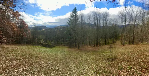 00 Grandview Lodge RD #Lot C, Plymouth, VT 05056