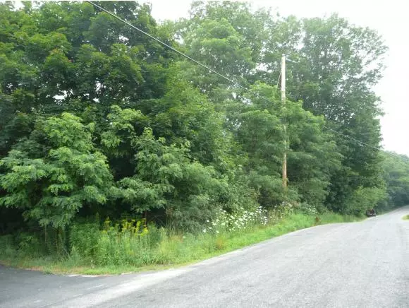 Lot #116 Pearson Hill Rd., Webster, NH 03303