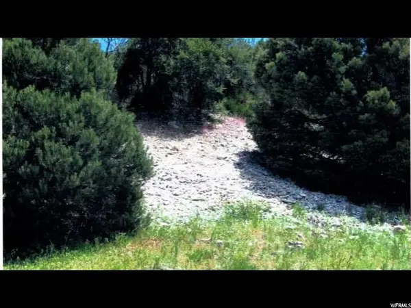 33919 GOSHUTE RESERVATION, Ibapah, UT 84034