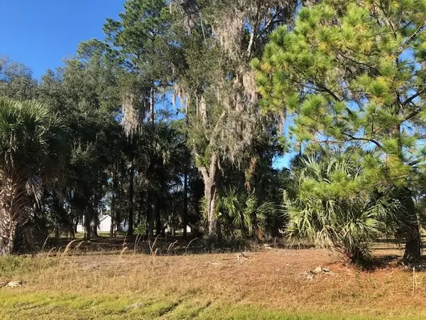 Crescent City, FL 32112,Lot 58 Timicuan Trail