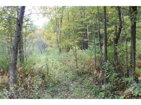 Stockbridge, VT 05772,Lot 5A Bix RD