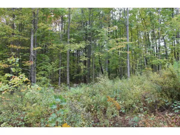 Stockbridge, VT 05772,Lot 5A Bix RD