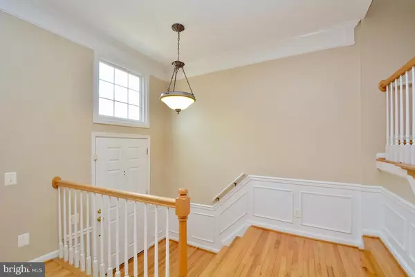 Alexandria, VA 22315,7506 LAMOYNE CT